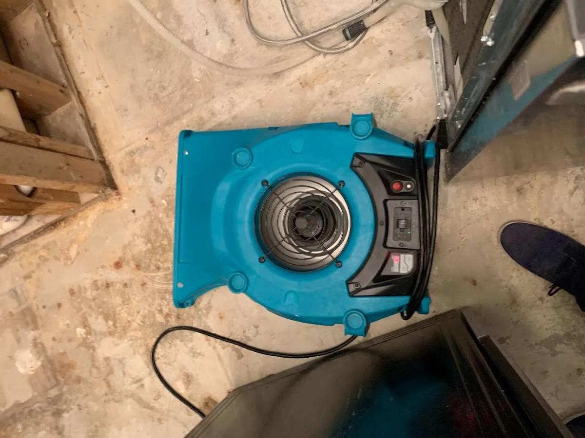 Air mover drying equipment for Mold Remediation & Removal in Crown Point